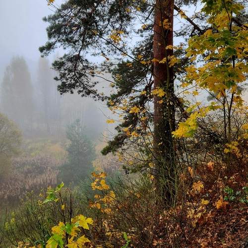 Photo #12706931