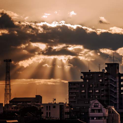 Photo #12706947