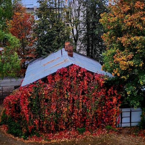 Photo #12706983