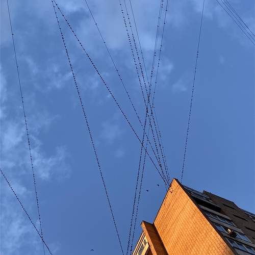 Photo #12707265