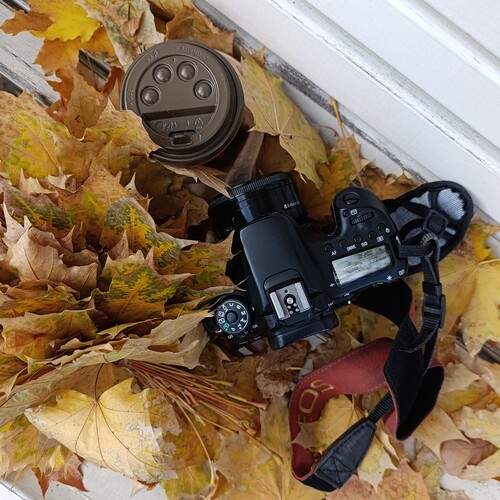 Photo #12707447