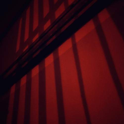Photo #12707499