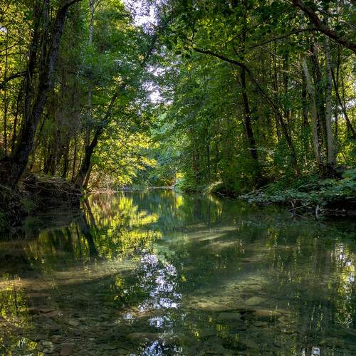 Photo #12707501