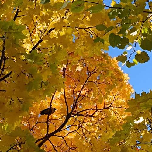 Photo #12707638