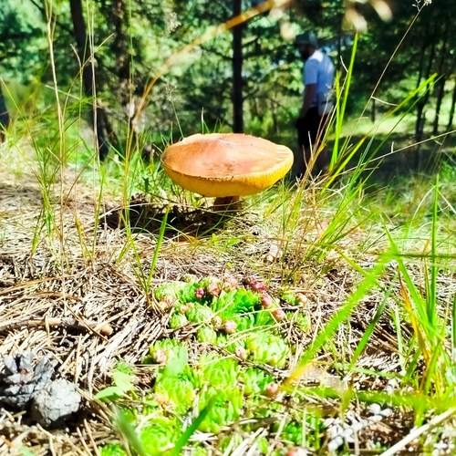 Photo #12707883