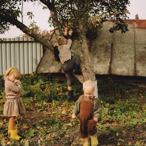Photo #12707890