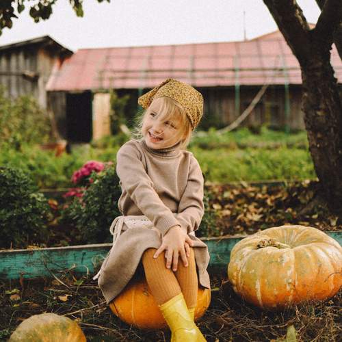 Photo #12707891