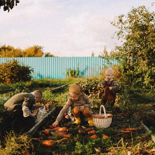 Photo #12707892