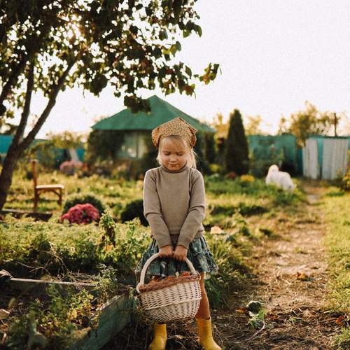 Photo #12707945