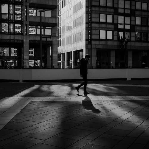 Photo #12708185