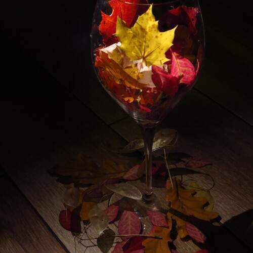 Photo #12708216