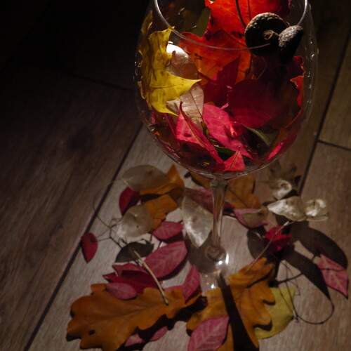 Photo #12708217