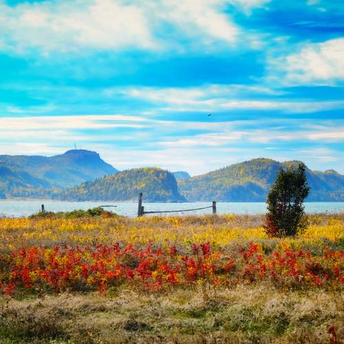 Autumn\'s elements