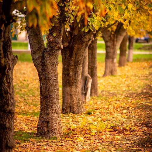 Photo #12708591