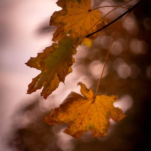 Photo #12708604