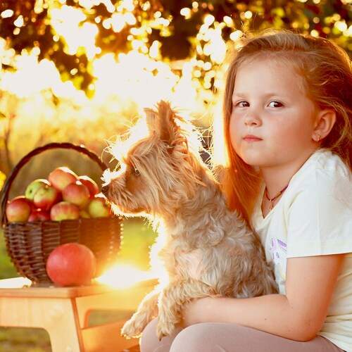 Photo #12708729