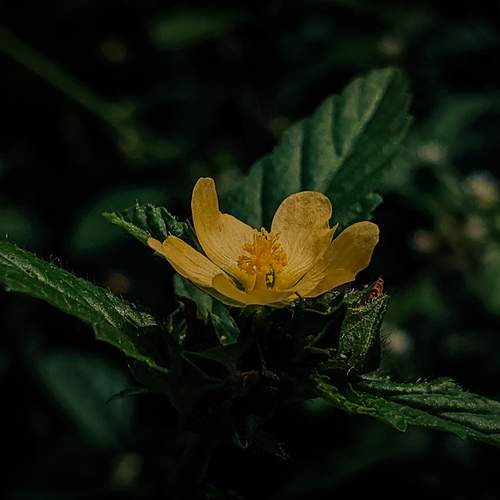 Photo #12708788
