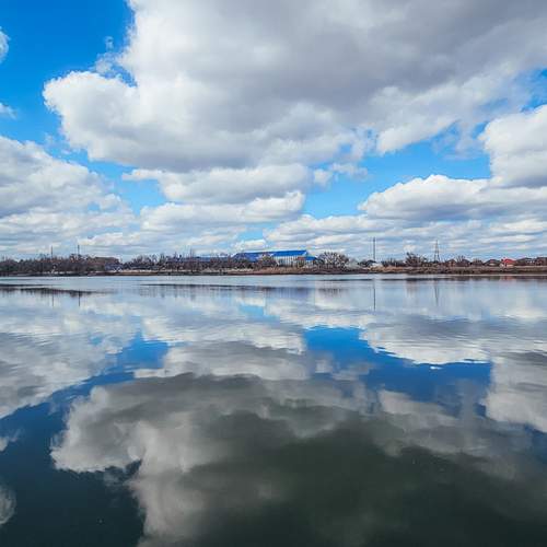 Photo #12708854