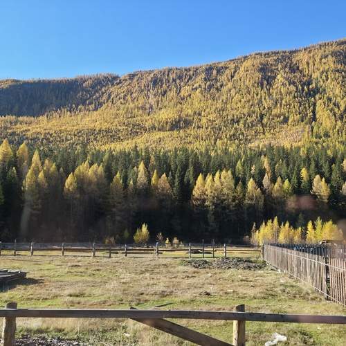 Photo #12708989