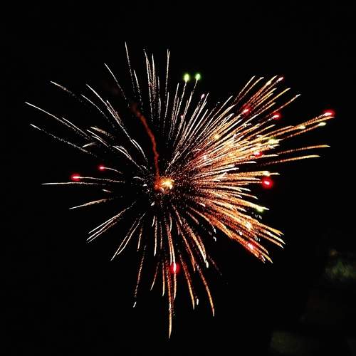 Photo #12709031