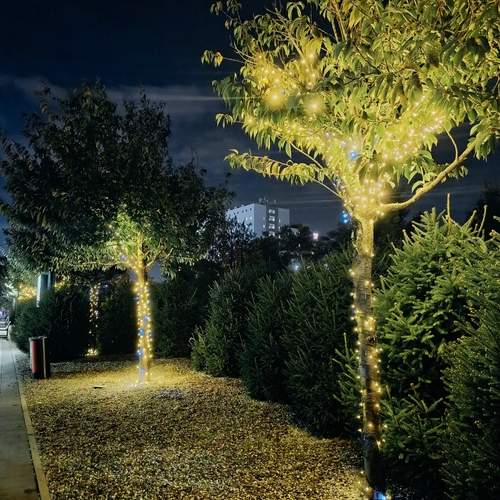 Photo #12709102