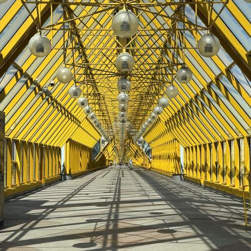 Photo #12709170
