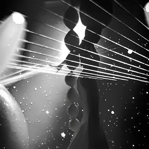 Photo #12709280