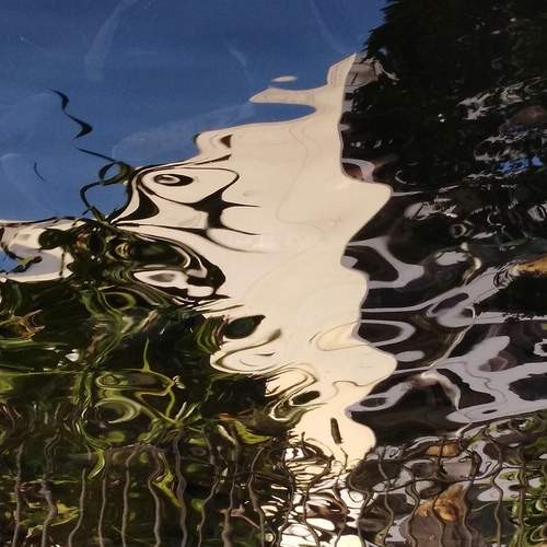 Photo #12709287