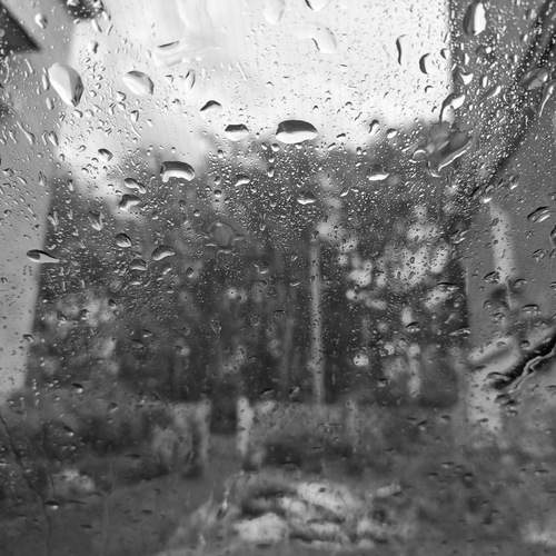 Photo #12709507
