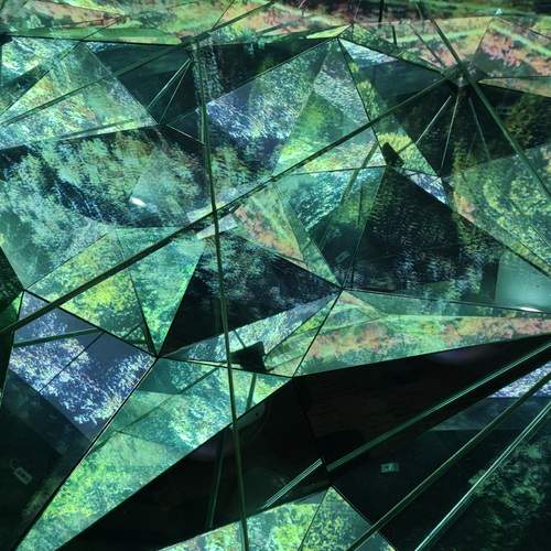 Photo #12709512