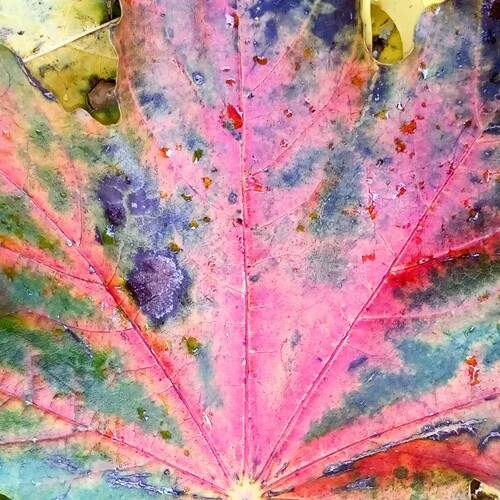Photo #12709650