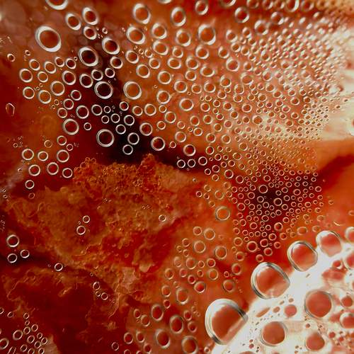 Photo #12709748