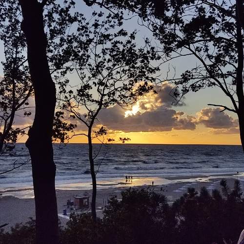 Photo #12709765