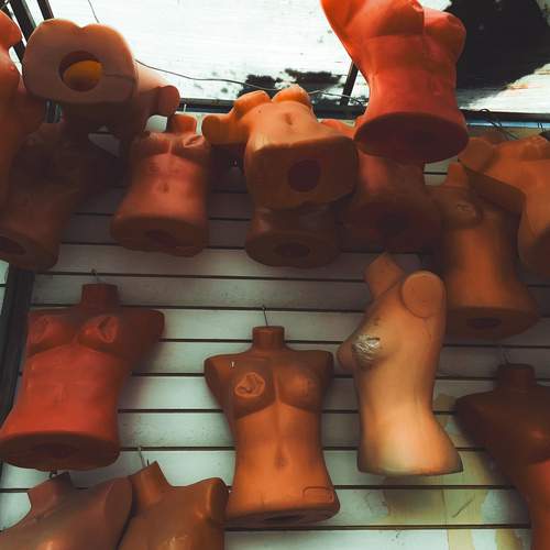 Photo #12709794