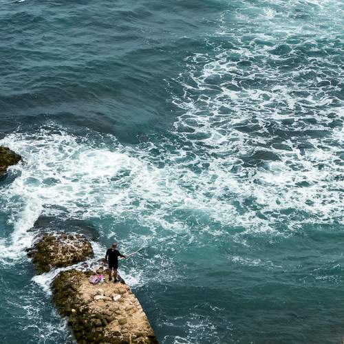 Photo #12709878