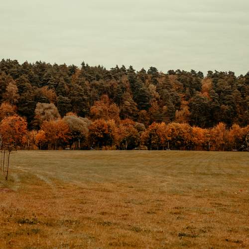 Photo #12709945
