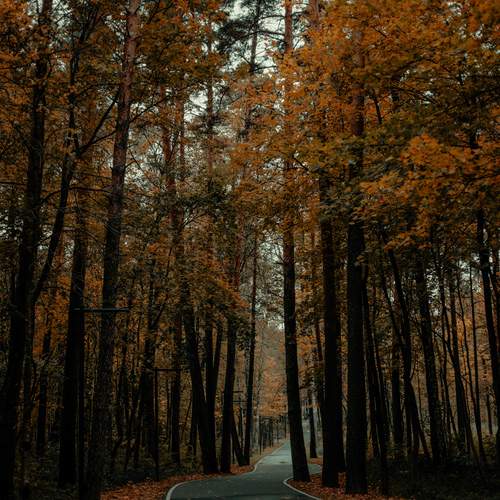 Photo #12709946