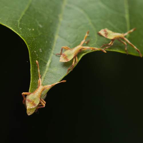 Photo #12710382