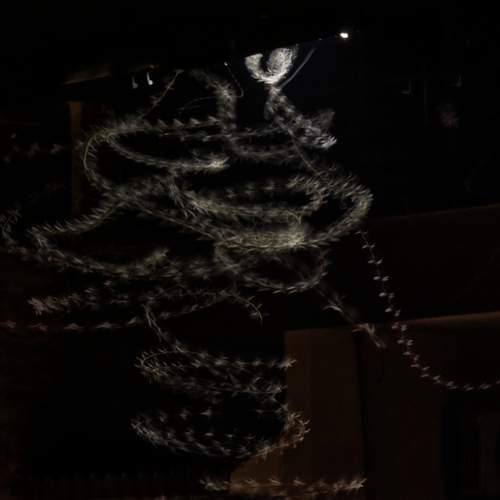 Photo #12710394