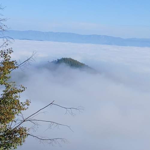 Photo #12710606