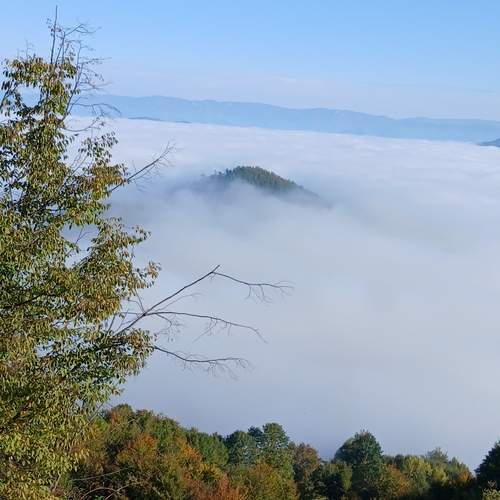 Photo #12710608
