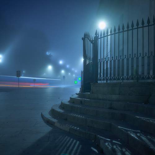 Photo #12710625
