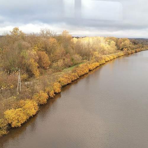 Photo #12710779