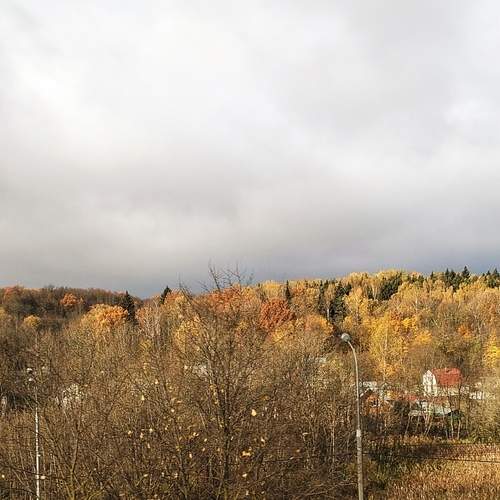 Photo #12710780