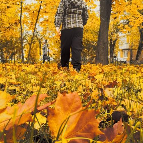 Photo #12710781