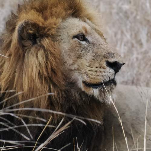 Фотография #12710816