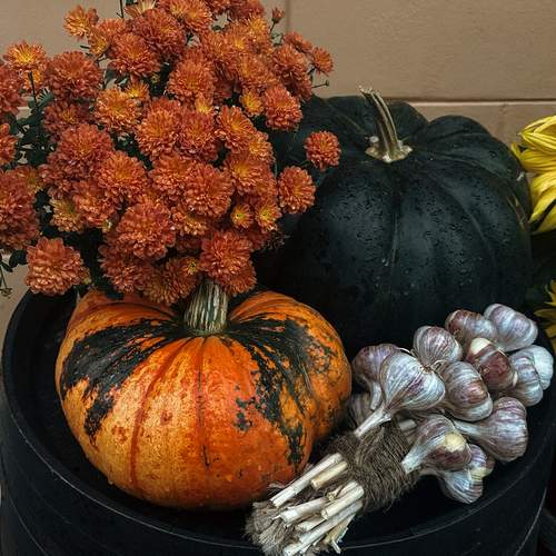 Photo #12710899