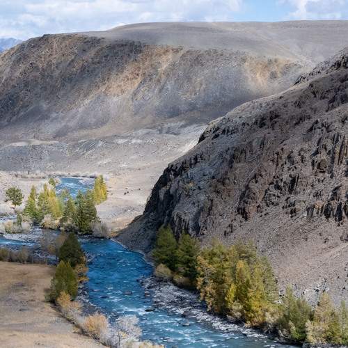 Photo #12710956