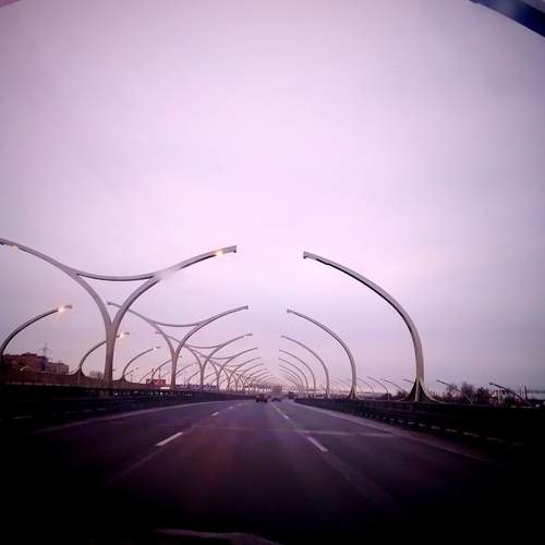 Photo #12710968
