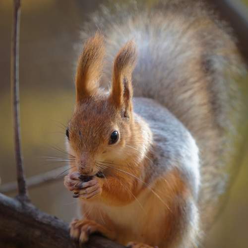 Photo #12711245